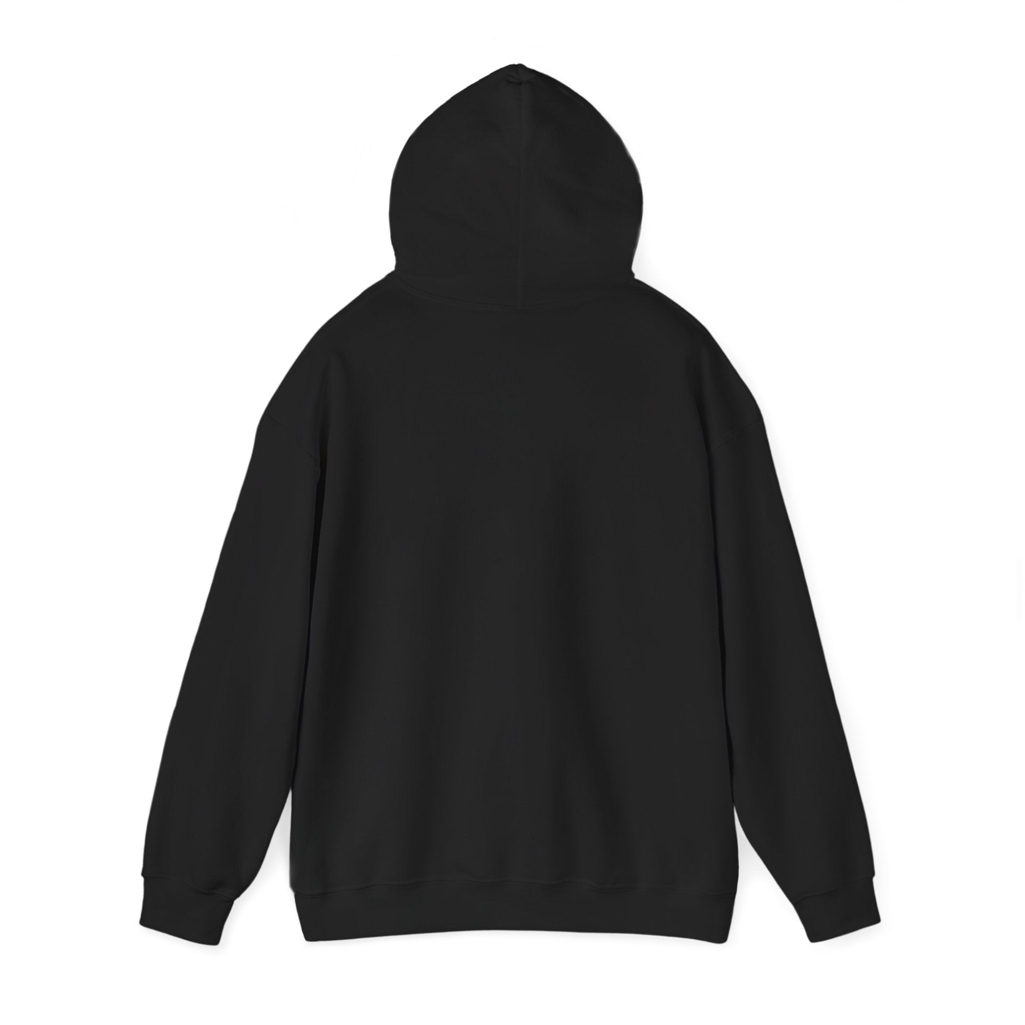 Professional Napper Hoodie | Funny Sloth Gift