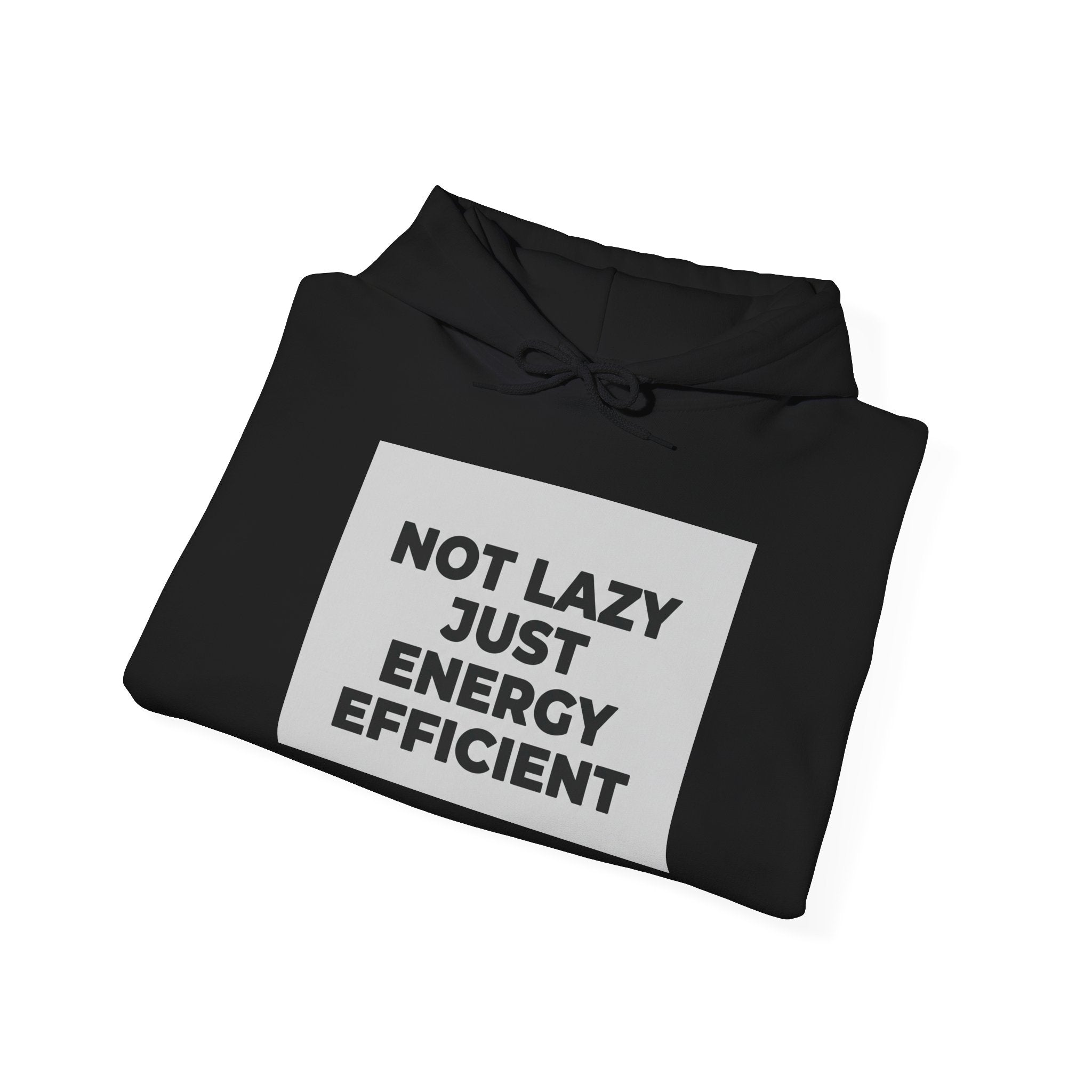 Not Lazy Just Energy Efficient