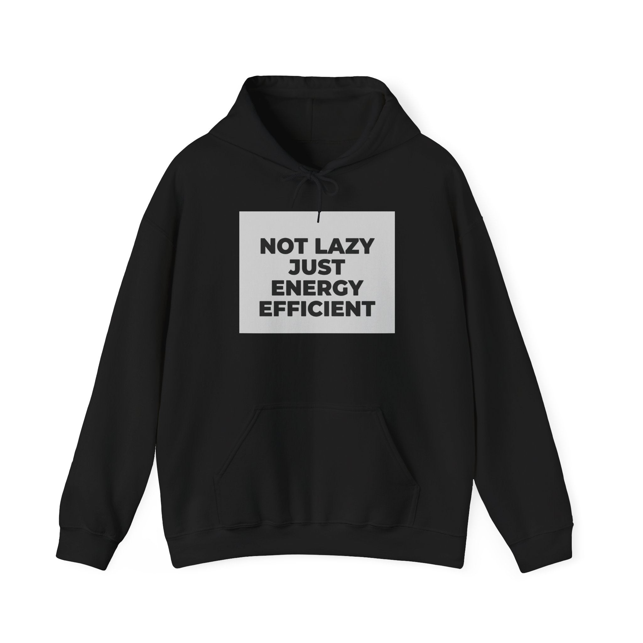 Not Lazy Just Energy Efficient