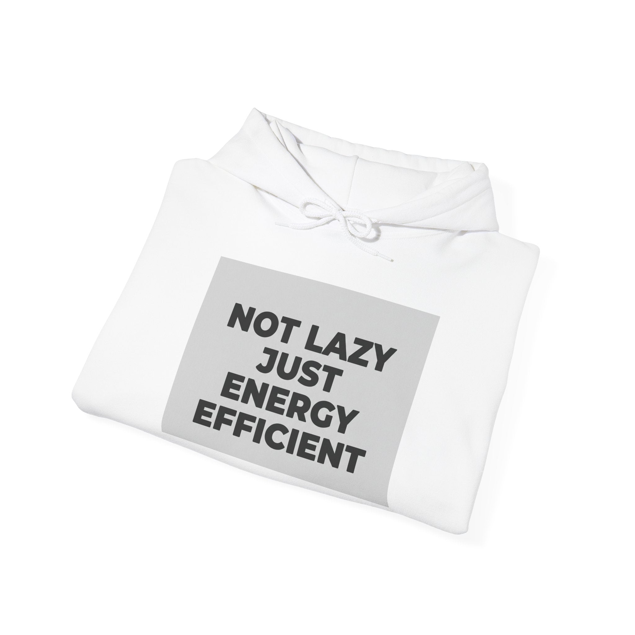 Not Lazy Just Energy Efficient