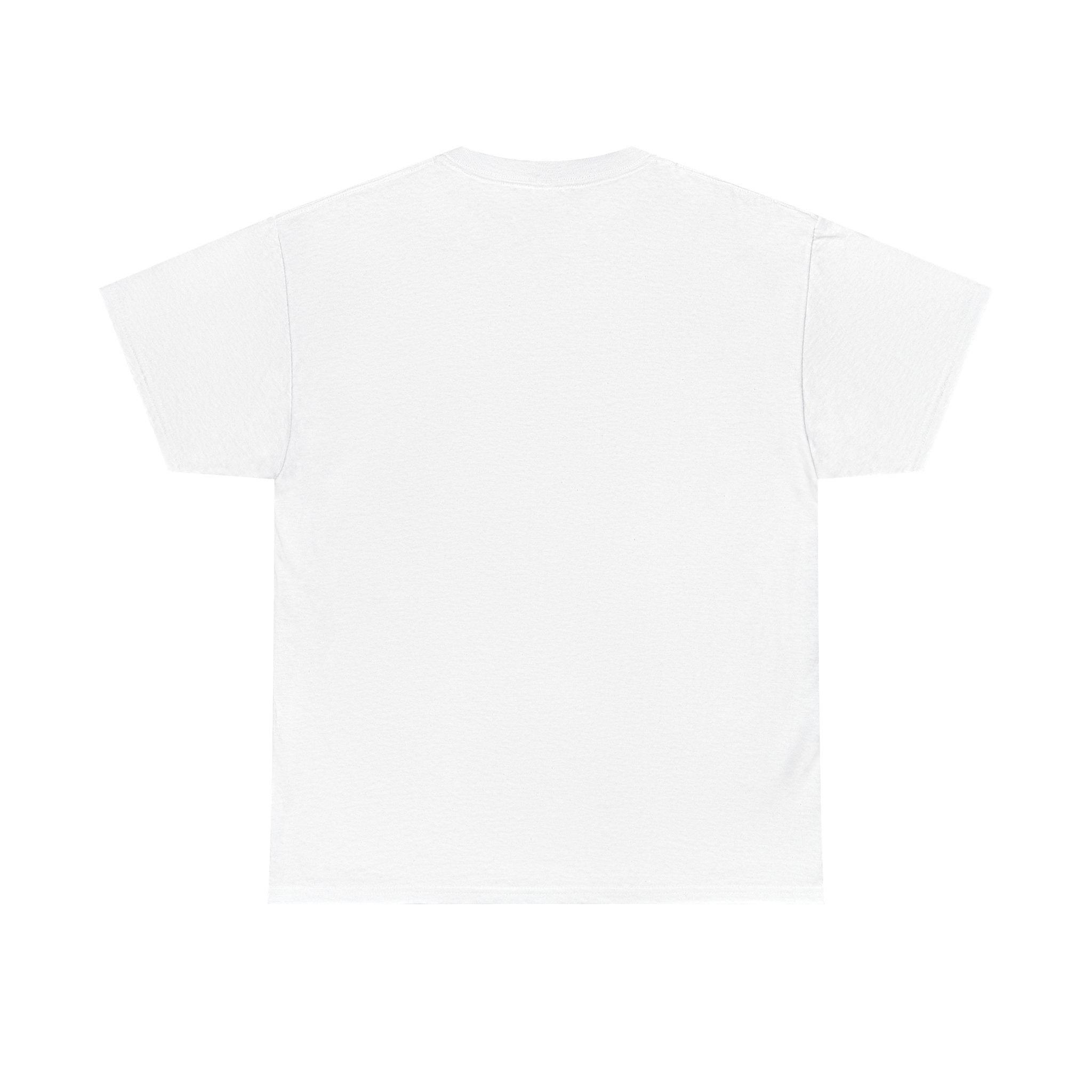 Delulu Is The Solulu T-Shirt | Viral Gen-Z Slang Tee
